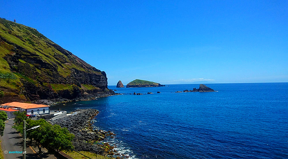 Carapacho na Ilha Graciosa nos Açores