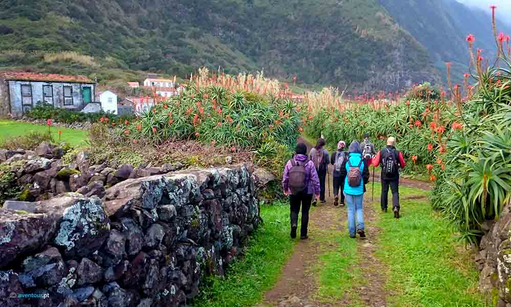 Hiking Tours Polgadas in Sao Jorge Island in Azores