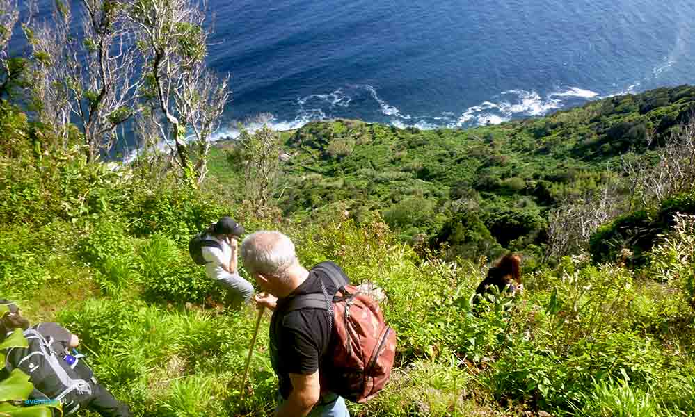 Fajãs of Sao Jorge - Walking Trails in Sao Jorge Island - Azores